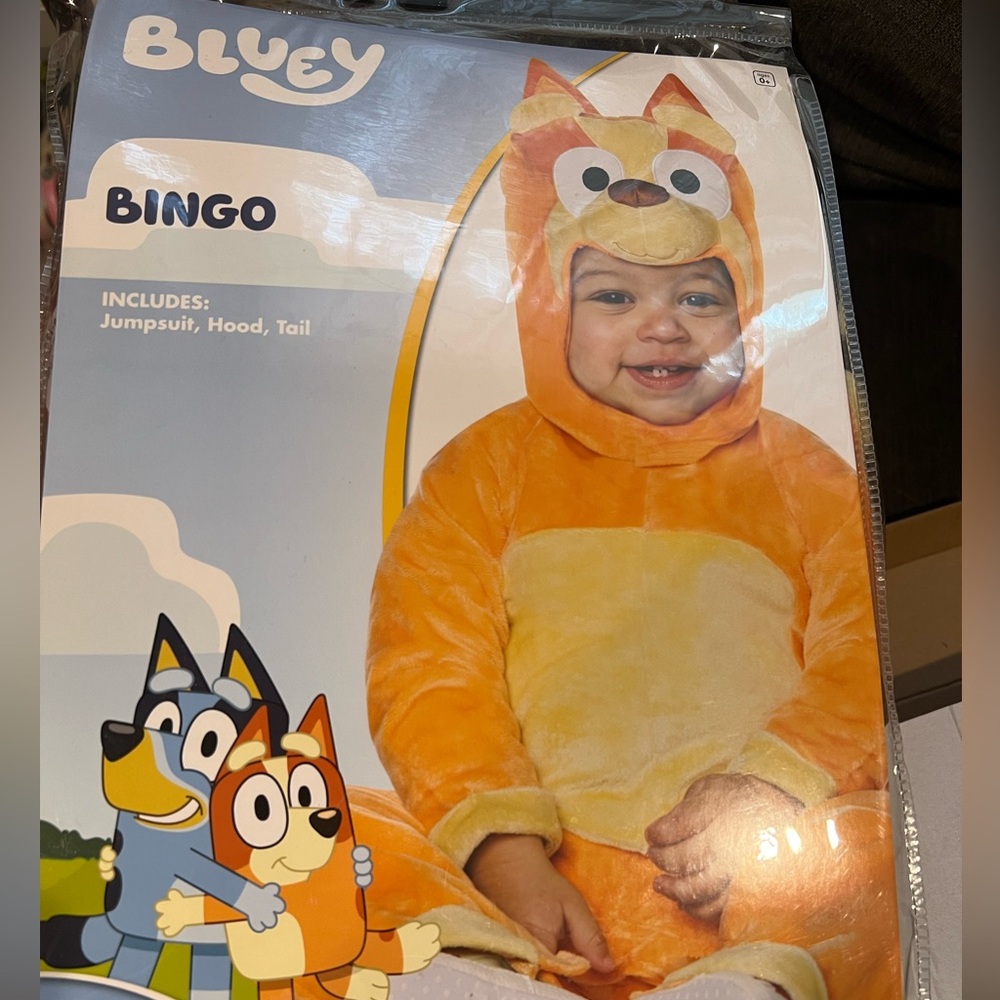 Bingo Halloween costume
